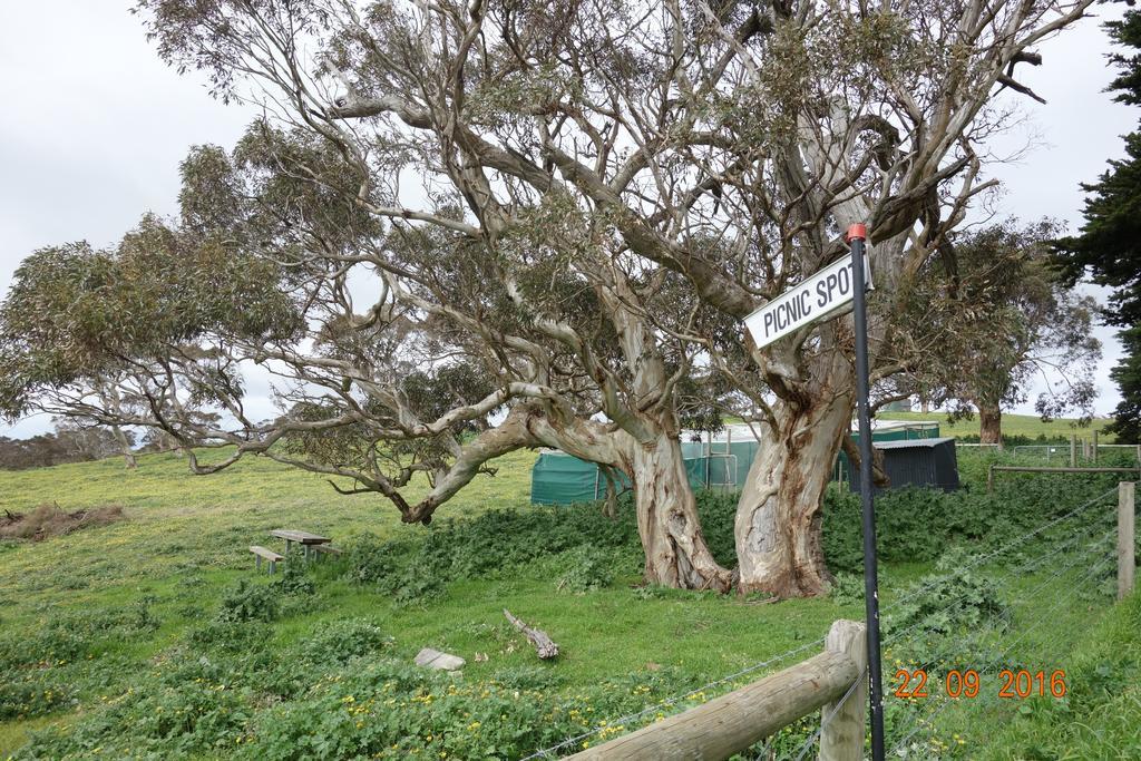 Morella Farmstay Cape Jervis Eksteriør billede