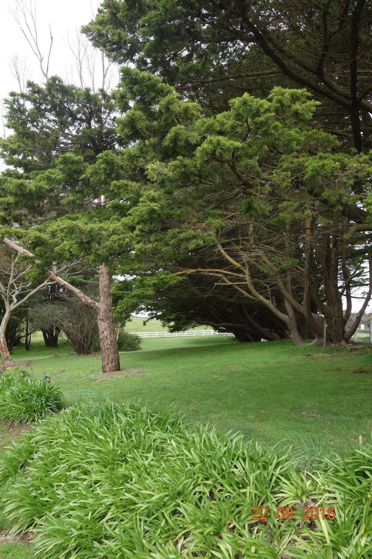 Morella Farmstay Cape Jervis Eksteriør billede